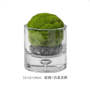 永生苔藓盆景样板间办公室书店咖啡厅洽谈桌高层架子玻璃绿苔摆件