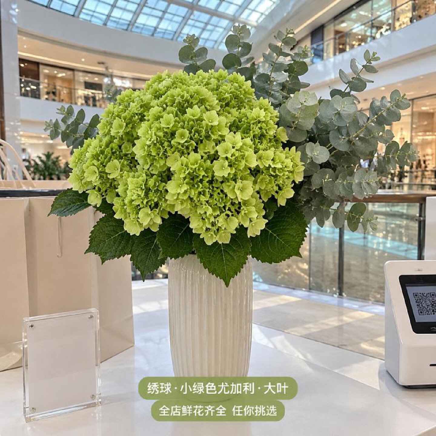 云南鲜切花绣球小绿色尤加利大叶基地直发斗南花卉婚庆花材手捧花