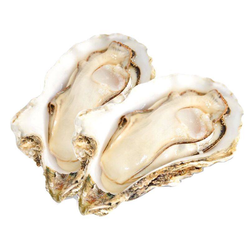 特大生蚝鲜活新鲜乳山牡蛎带壳海蛎子10斤装顺丰威海现捞海产品