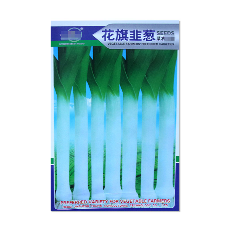 中研盛优花旗韭葱种子