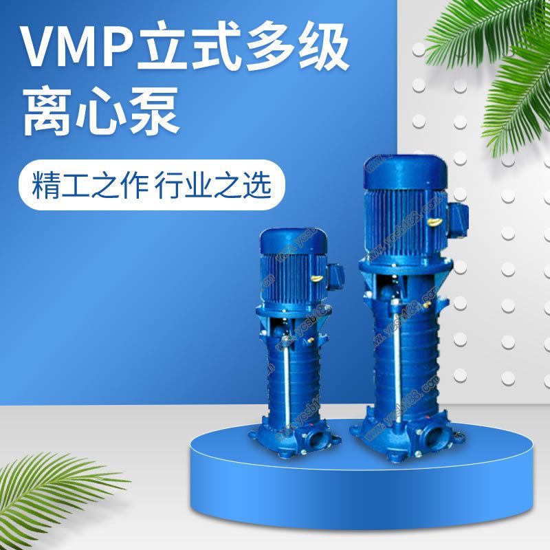 VMP立式多级离心泵 高层楼宇生活供水耐腐增压泵 供水设备离心泵