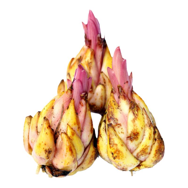 香水百合种球进口四季盆栽花卉种子室内外阳台已催芽木门浓香花苗