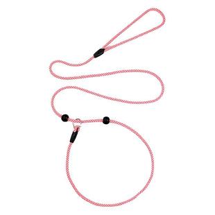 Nadav纳达为狗狗P绳训犬防爆冲外出遛狗牵引绳防挣脱狗链中大型犬