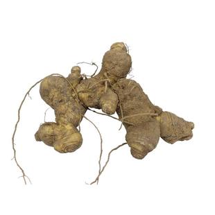 新鲜野生黄精鸡头黄精多花鸡头参中药材甜黄精5斤包邮非九蒸九晒