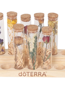 样板间书桌绿色植物干花标本摆件