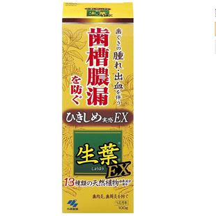日本小林制药生叶EX牙膏齿槽收缩牙龈护理100g加强版清新口气