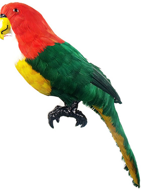 金刚鹦鹉田园风早教森林系仿真鸟