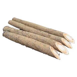 徐州特产新鲜牛蒡根牛蒡茶原料5斤装包邮东洋参新品推荐热销