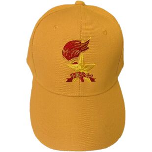 中小学生安全小黄帽校徽校名logo刺绣定制棒球帽鸭舌帽免费绣姓名