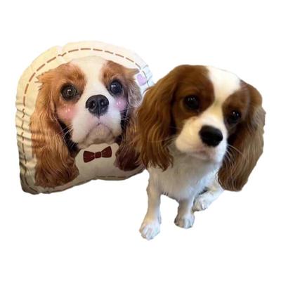 XIXI口热销已破20万8千+加购