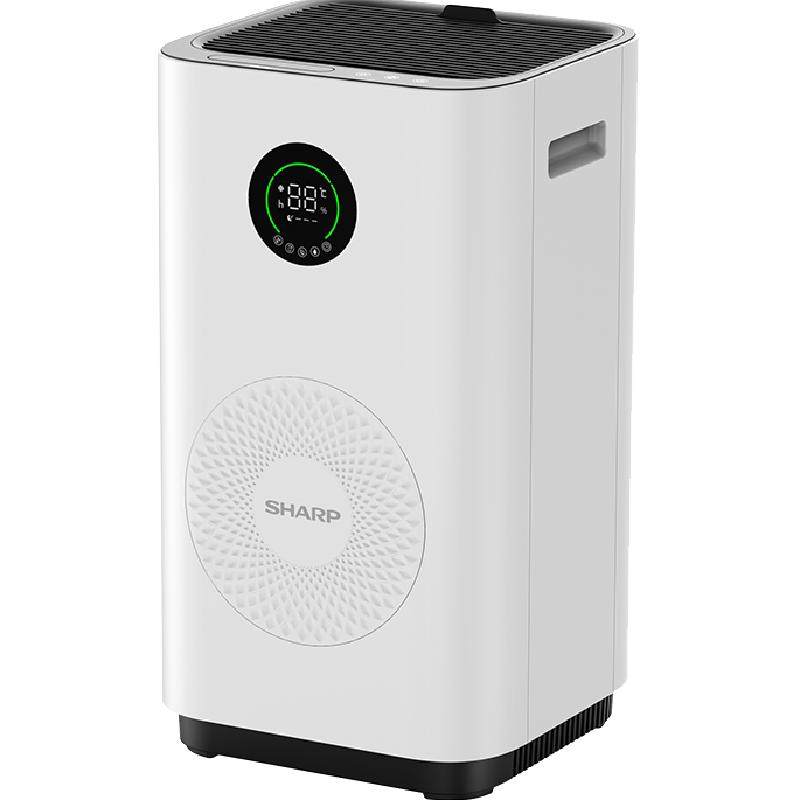 ���տ�����ʪ�������������������������յ������������������� 799Ԫ(������)