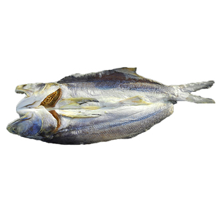 广东湛江特产深海马友鱼干午鱼渔家自晒淡晒咸鱼干无添加海鲜干货