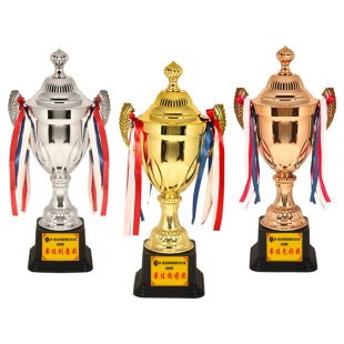 金属奖杯定制篮球足球跆拳道比赛奖杯奖牌定做儿童平衡车学生奖品