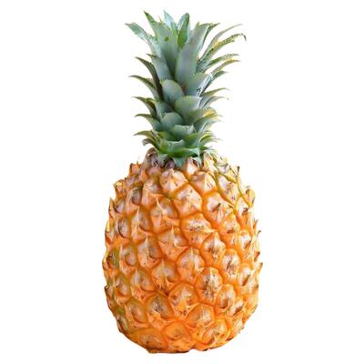 海南金钻17号凤梨大果梨新鲜现