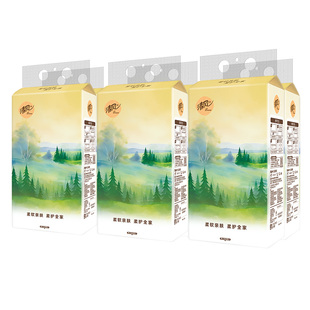 清风原木悬挂式抽纸10提整箱原生木浆可湿水壁挂式卫生纸厕纸巾jl