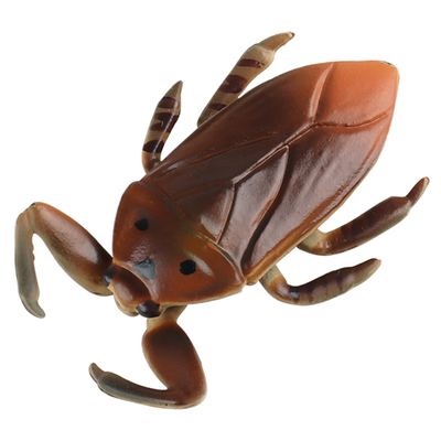 林畅模玩田鳖模型仿真昆虫玩具