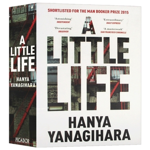 渺小一生 英文原版 A Little Life 柳原汉雅 文学小说 Hanya Yanagihara 英文版 进口原版英语书籍