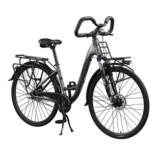 红旗旅行车自行车长途蝴蝶把男女式川藏线专业变速公路山地车单车