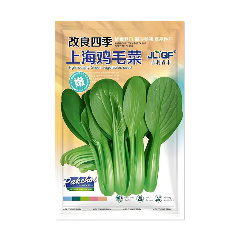 吉利青丰改良四季上海鸡毛菜种子