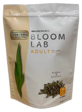 原装进口Wooly成兔现货花开系列
