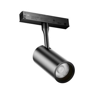 平头熊F1火星磁吸轨道灯mesh2.0格栅泛光智能调光全光谱无主灯PTX