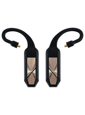 iFi悦尔法GO pod max高清蓝牙解码耳放TWS真无线蓝牙耳机耳挂
