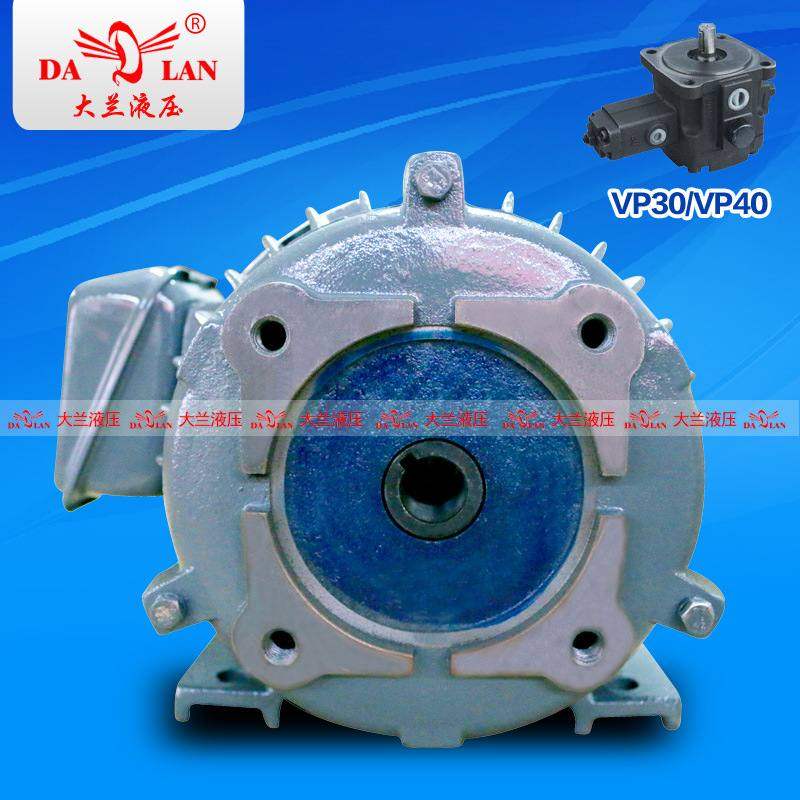 DG神域SHENYU液压内轴电机 VP30/40油泵专用电机1.5KW2.2KW3.7KW