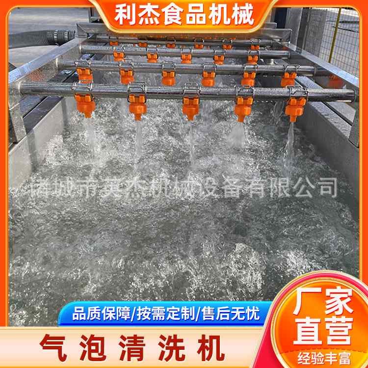 全自动果蔬气泡清洗机连续式四季豆清洗设备韭菜小青葱净菜加工设