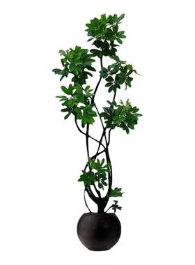 仿真绿植鸭脚木高端轻奢盆栽
