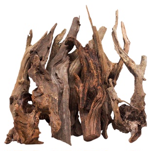 干树枝装饰天然枯木树干花艺插花木头鱼缸造景沉木长枝条diy材料