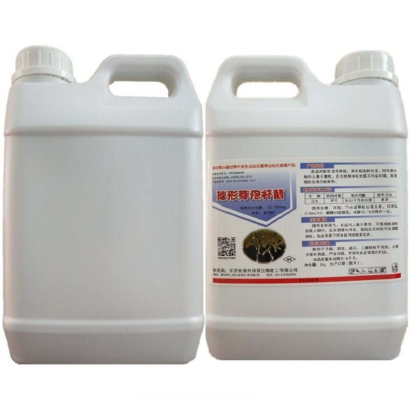 下水道臭水沟灭蚊虫卵幼虫杀虫剂