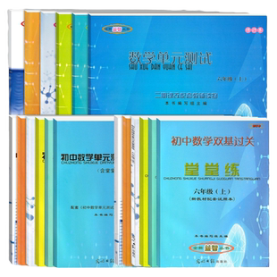 2025初中数学物理化学单元测试双基过关堂堂练六七八九年级上下册一二学期上海初中数学单元测试双基过关堂堂练数学光明日报出版社