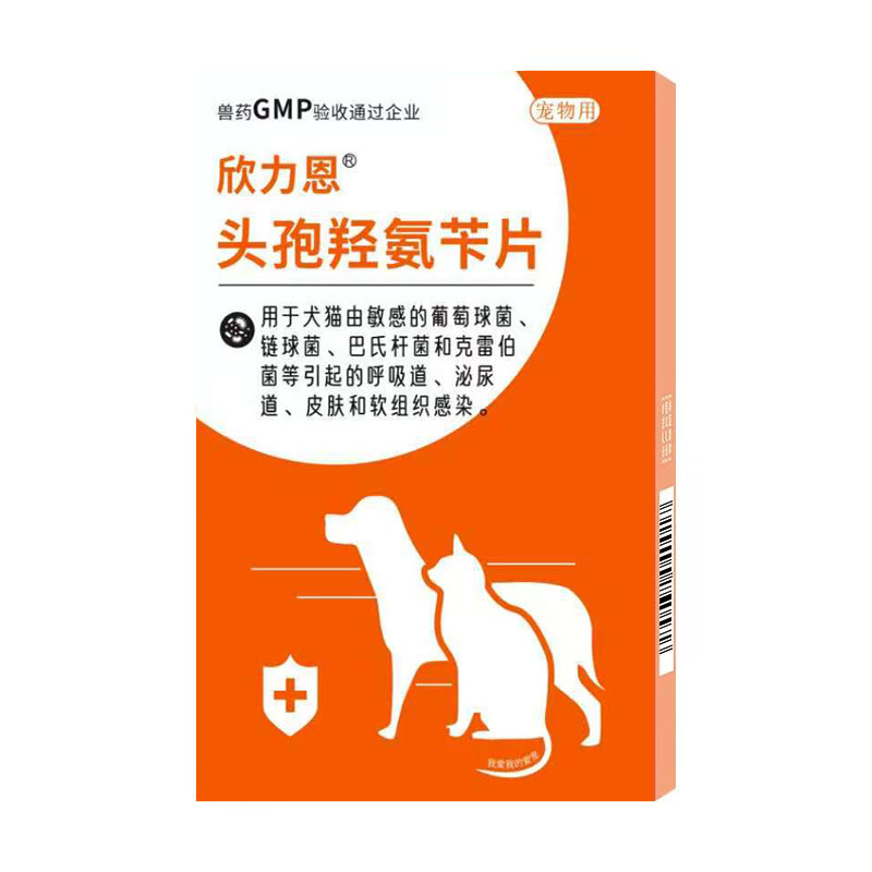 宠物消炎药窝咳感冒咳嗽鼻涕喷嚏
