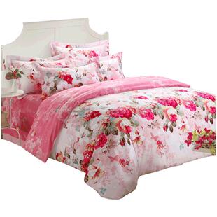 雪晶灵磨毛四件套1.8m床双人全棉加厚四件套床单纯棉被套床上用品