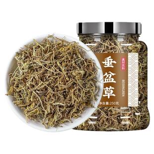 垂盆草的功效与作用新鲜野生泡茶可食用药用中药材正品官方旗舰店