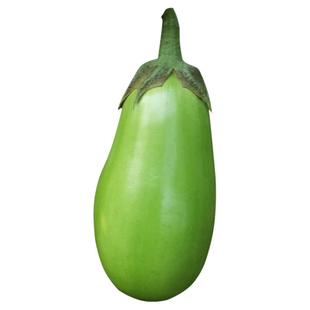 台湾绿长茄种子绿罐茄籽青茄子绿皮圆茄水果皮薄肉嫩春季四季蔬菜