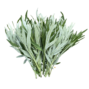 野生蒿子尖新鲜小叶艾草现摘老蒿子嫩尖可食用苦蒿子嫩草叶鲜艾蒿