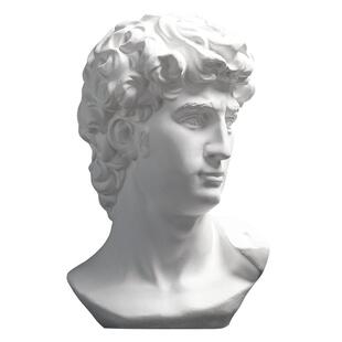 大卫石膏像头像几何体维纳斯马赛阿格里琴女人像阿波罗大号美术教具素描静物道具模型雕塑雕像摆件头骨伏尔泰