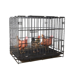 鸡笼鸡笼子家用小号大号特大号鸡舍自动清粪鸭子鹅家禽折叠养殖笼