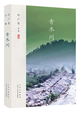 叶广芩文集 青木川（孙红雷主演电视剧《一代枭雄》原著）新经典