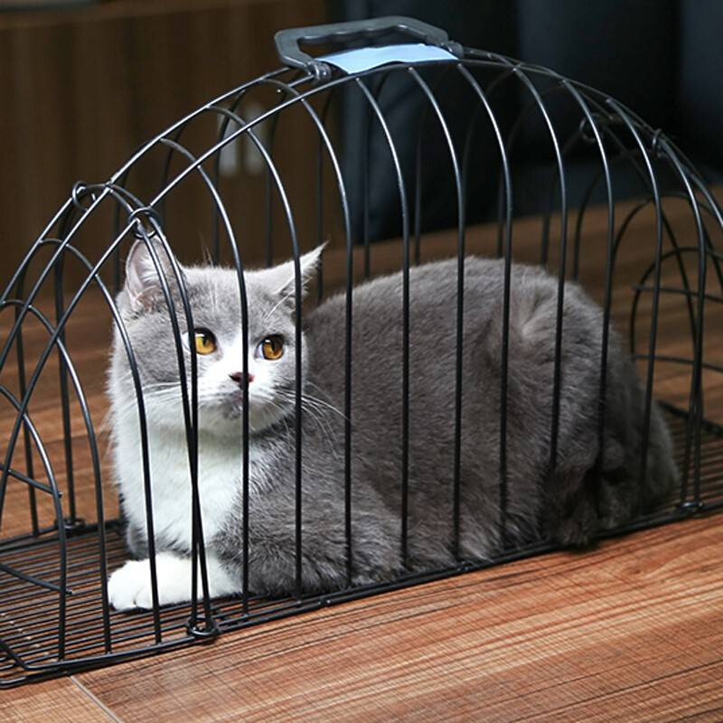 洗猫笼猫咪洗澡专用洗猫神器洗猫袋吹风防抓咬吹干固定防抓猫用品