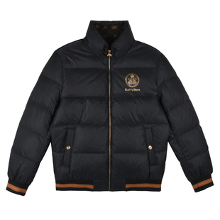 雷迪波尔男士保暖羽绒服2023秋冬季新款立领休闲鸭绒外套潮流男装