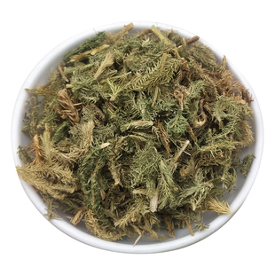 中药材伸筋草  野生筋骨草 舒筋草 另售远志益智仁 正品500g 包邮