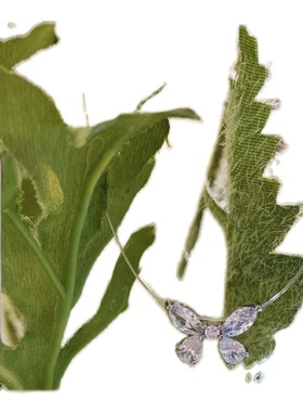 蝴蝶水钻锁骨链锆石纯欲风镶钻