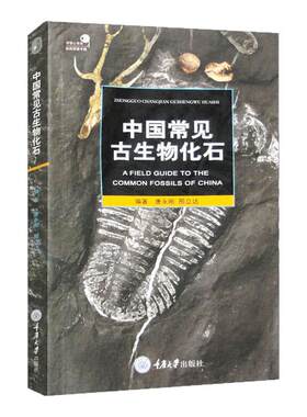 中国常见古生物化石 好奇心书系 唐永刚 如何寻找化石 化石的收藏与保管 中国*古生物化石群 自然科普读物正版书籍 重庆大学出版社