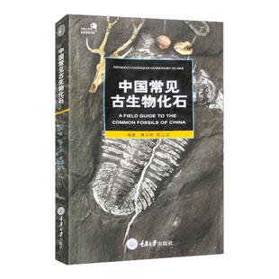 中国常见古生物化石 好奇心书系 唐永刚 如何寻找化石 化石的收藏与保管 中国*古生物化石群 自然科普读物正版书籍 重庆大学出版社