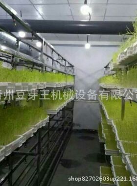 全自动水培牧草发芽机 提供技术水培饲料 跨境一机多用芽苗机械