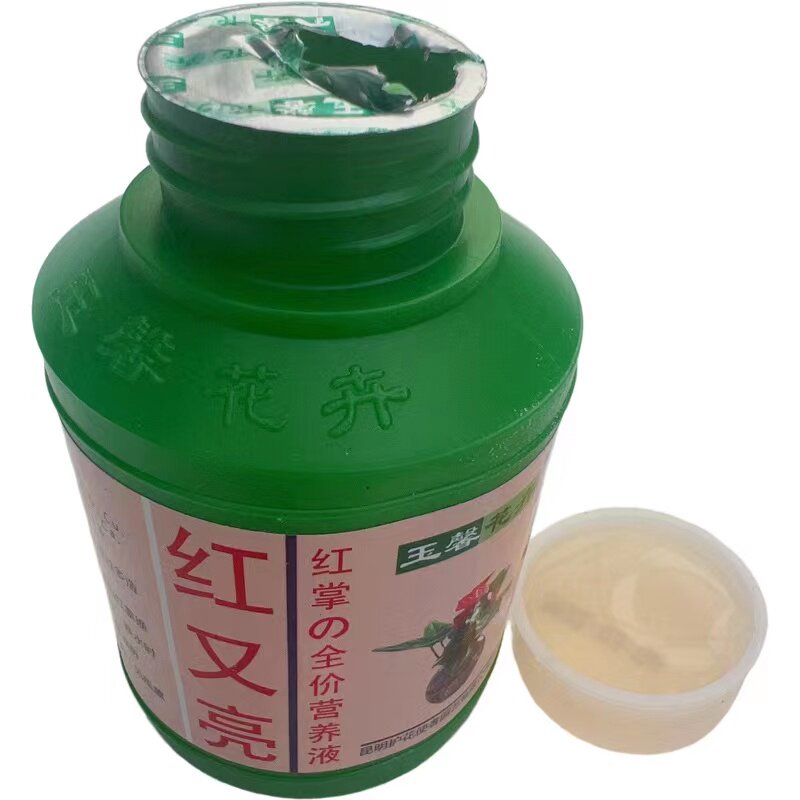 营养液红掌花卉绿叶包邮