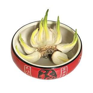 重瓣复瓣雕刻好漳州水仙花种球水培礼盒装送礼单瓣植物春节年宵花