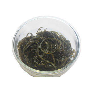 特细海带丝干货5斤横切牛肉面海带丝团凉拌菜面馆商用福建特产